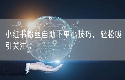 小红书粉丝自助下单小技巧，轻松吸引关注。
