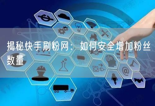 揭秘快手刷粉网：如何安全增加粉丝数量