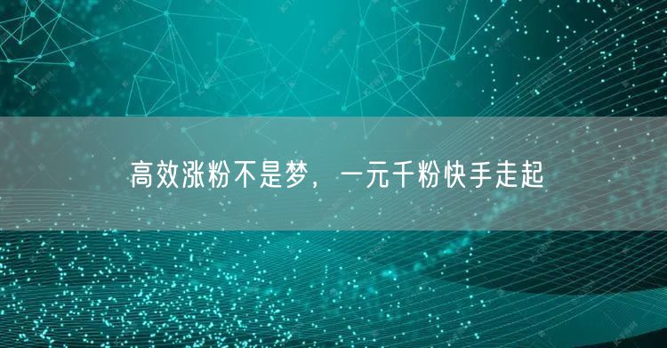 高效涨粉不是梦，一元千粉快手走起