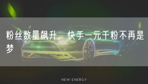 粉丝数量飙升，快手一元千粉不再是梦