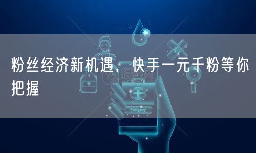 粉丝经济新机遇，快手一元千粉等你把握
