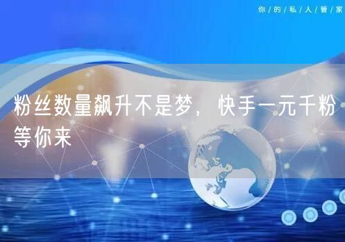 粉丝数量飙升不是梦，快手一元千粉等你来
