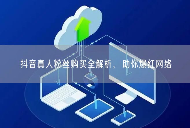 抖音真人粉丝购买全解析，助你爆红网络