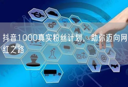 抖音1000真实粉丝计划，助你迈向网红之路
