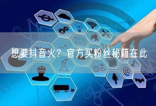 想要抖音火？官方买粉丝秘籍在此