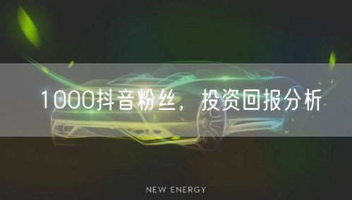 1000抖音粉丝，投资回报分析