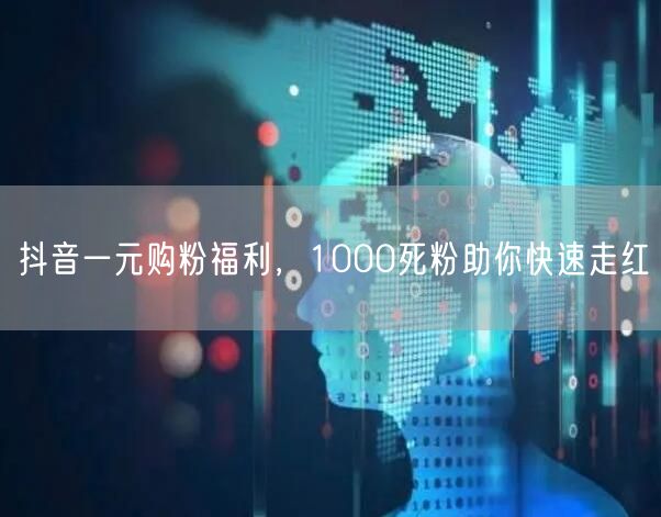 抖音一元购粉福利，1000死粉助你快速走红