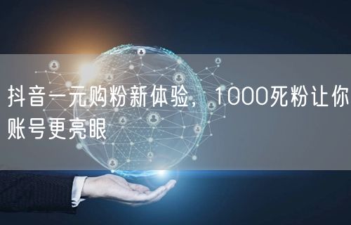 抖音一元购粉新体验，1000死粉让你账号更亮眼
