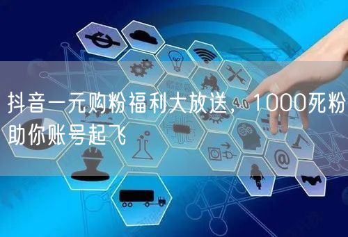 抖音一元购粉福利大放送，1000死粉助你账号起飞