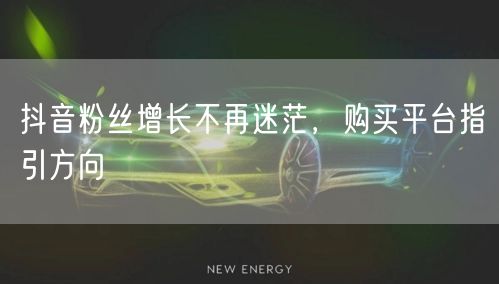 抖音粉丝增长不再迷茫，购买平台指引方向