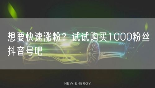 想要快速涨粉？试试购买1000粉丝抖音号吧