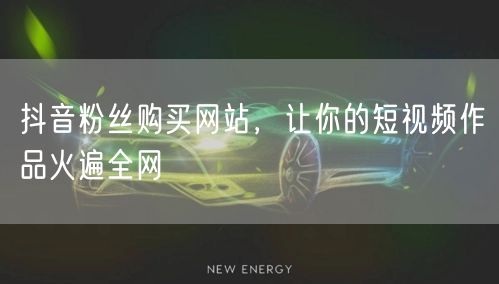 抖音粉丝购买网站，让你的短视频作品火遍全网