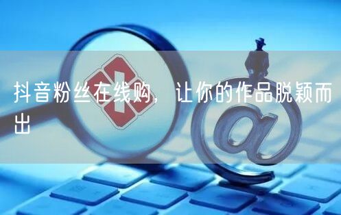 抖音粉丝在线购，让你的作品脱颖而出