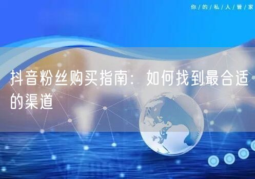 抖音粉丝购买指南：如何找到最合适的渠道
