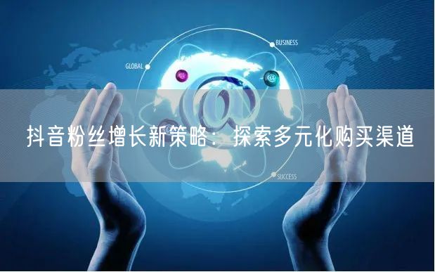 抖音粉丝增长新策略：探索多元化购买渠道