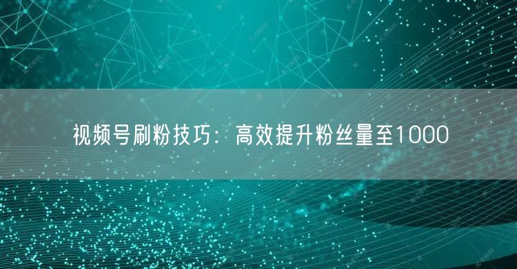 视频号刷粉技巧：高效提升粉丝量至1000