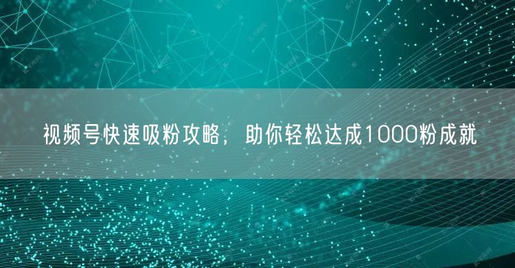 视频号快速吸粉攻略，助你轻松达成1000粉成就