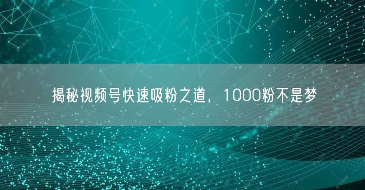 揭秘视频号快速吸粉之道，1000粉不是梦