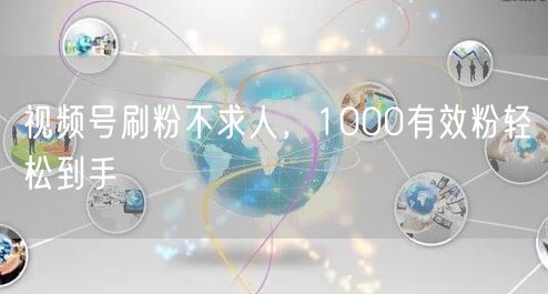 视频号刷粉不求人，1000有效粉轻松到手