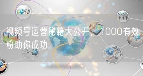 视频号运营秘籍大公开，1000有效粉助你成功