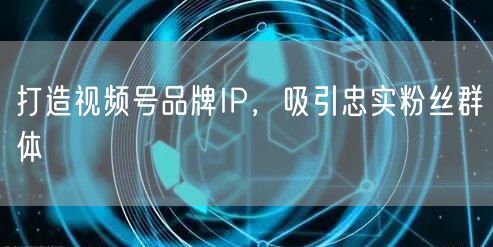 打造视频号品牌IP，吸引忠实粉丝群体