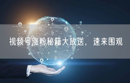 视频号涨粉秘籍大放送，速来围观
