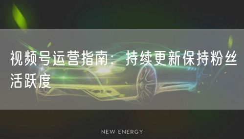 视频号运营指南：持续更新保持粉丝活跃度