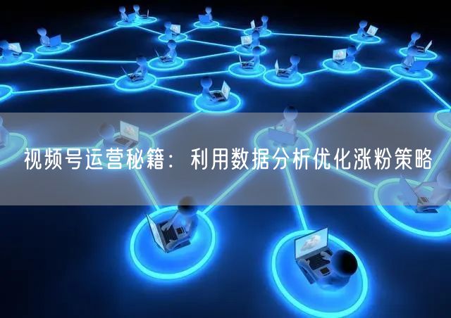 视频号运营秘籍：利用数据分析优化涨粉策略