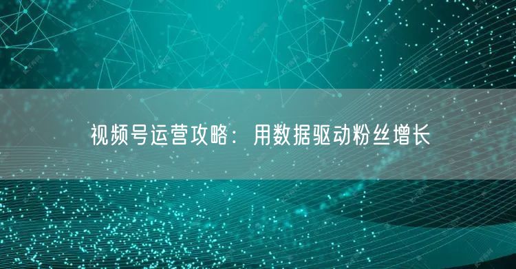 视频号运营攻略：用数据驱动粉丝增长