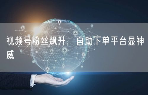 视频号粉丝飙升，自助下单平台显神威