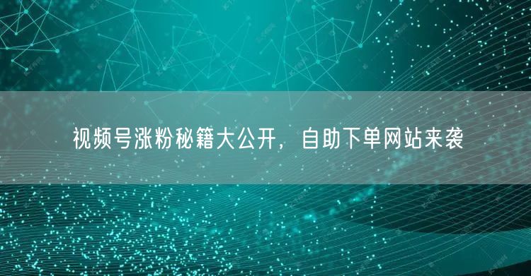 视频号涨粉秘籍大公开，自助下单网站来袭