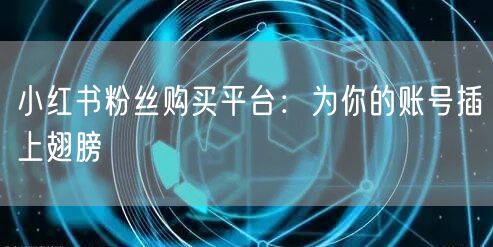 小红书粉丝购买平台：为你的账号插上翅膀