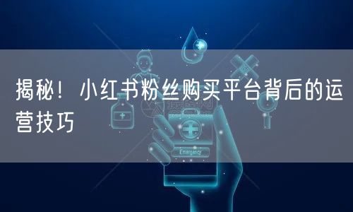 揭秘！小红书粉丝购买平台背后的运营技巧