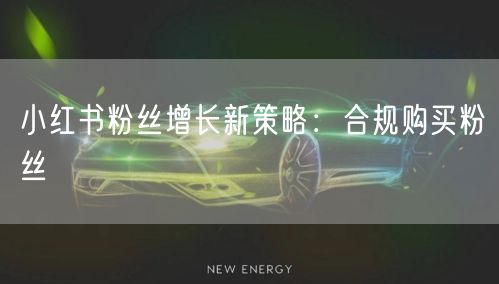 小红书粉丝增长新策略：合规购买粉丝