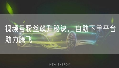 视频号粉丝飙升秘诀，自助下单平台助力腾飞