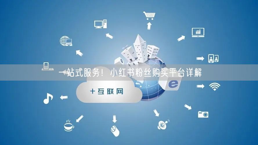 一站式服务！小红书粉丝购买平台详解