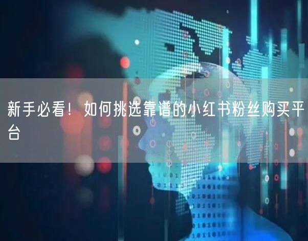 新手必看！如何挑选靠谱的小红书粉丝购买平台