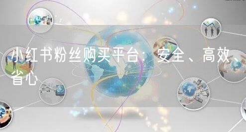 小红书粉丝购买平台：安全、高效、省心