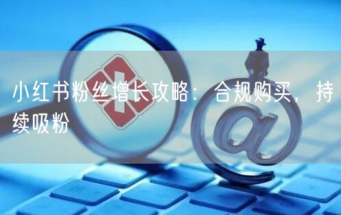 小红书粉丝增长攻略：合规购买，持续吸粉