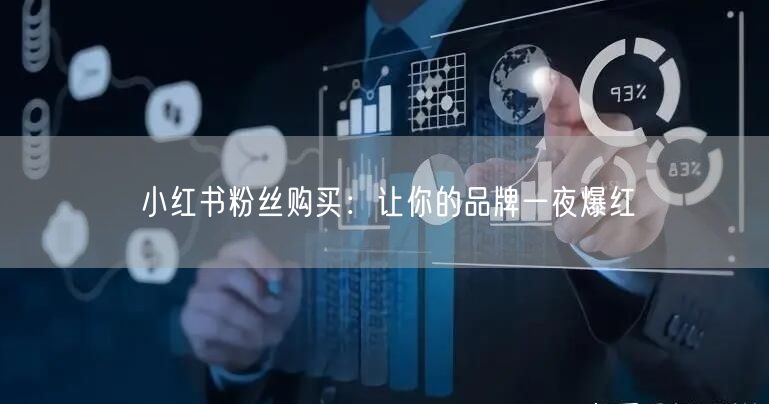 小红书粉丝购买：让你的品牌一夜爆红