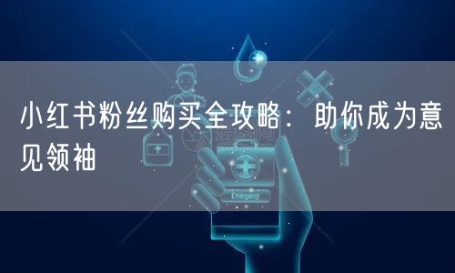 小红书粉丝购买全攻略：助你成为意见领袖