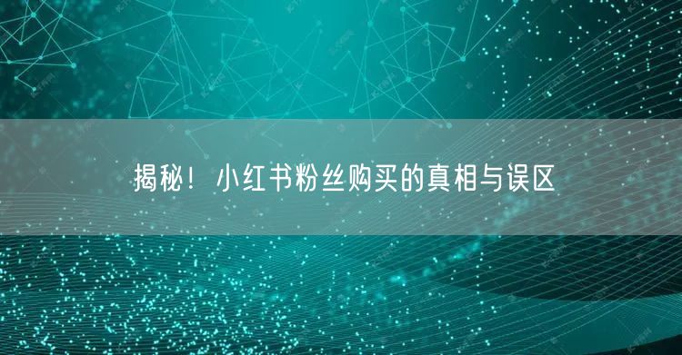 揭秘！小红书粉丝购买的真相与误区