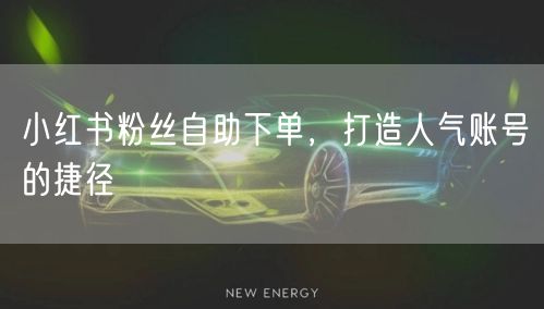 小红书粉丝自助下单，打造人气账号的捷径