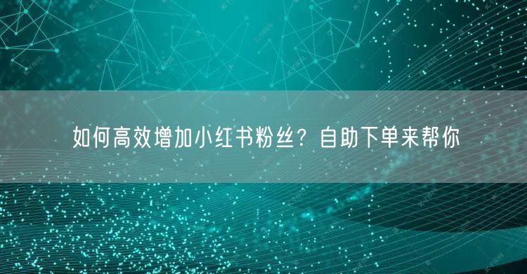 如何高效增加小红书粉丝？自助下单来帮你