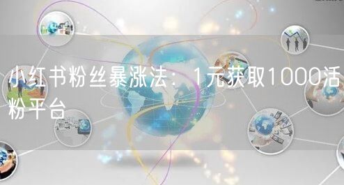 小红书粉丝暴涨法：1元获取1000活粉平台