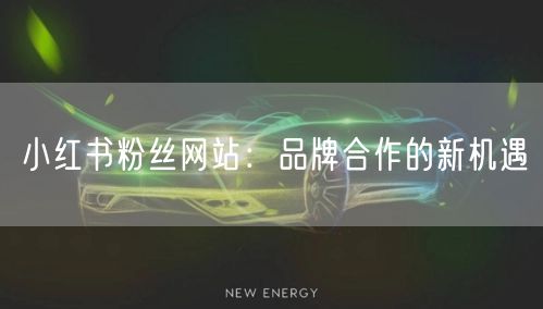 小红书粉丝网站：品牌合作的新机遇