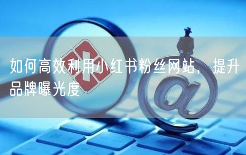 如何高效利用小红书粉丝网站，提升品牌曝光度