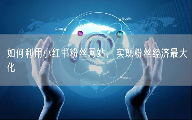 如何利用小红书粉丝网站，实现粉丝经济最大化