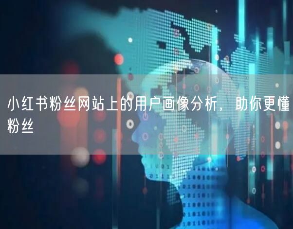 小红书粉丝网站上的用户画像分析，助你更懂粉丝