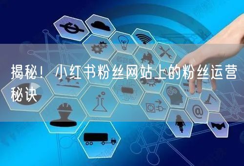 揭秘！小红书粉丝网站上的粉丝运营秘诀